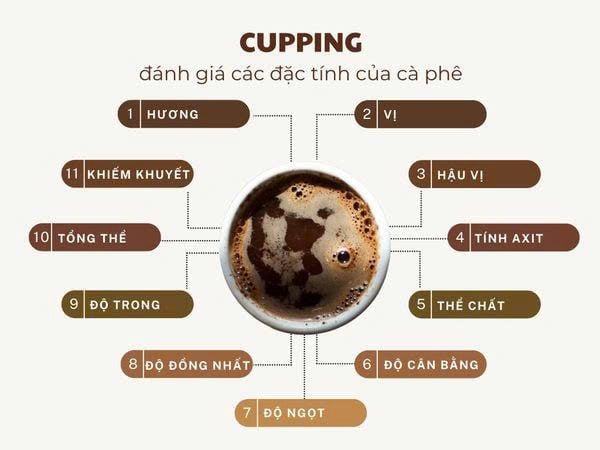 Cà phê specialty là gì?