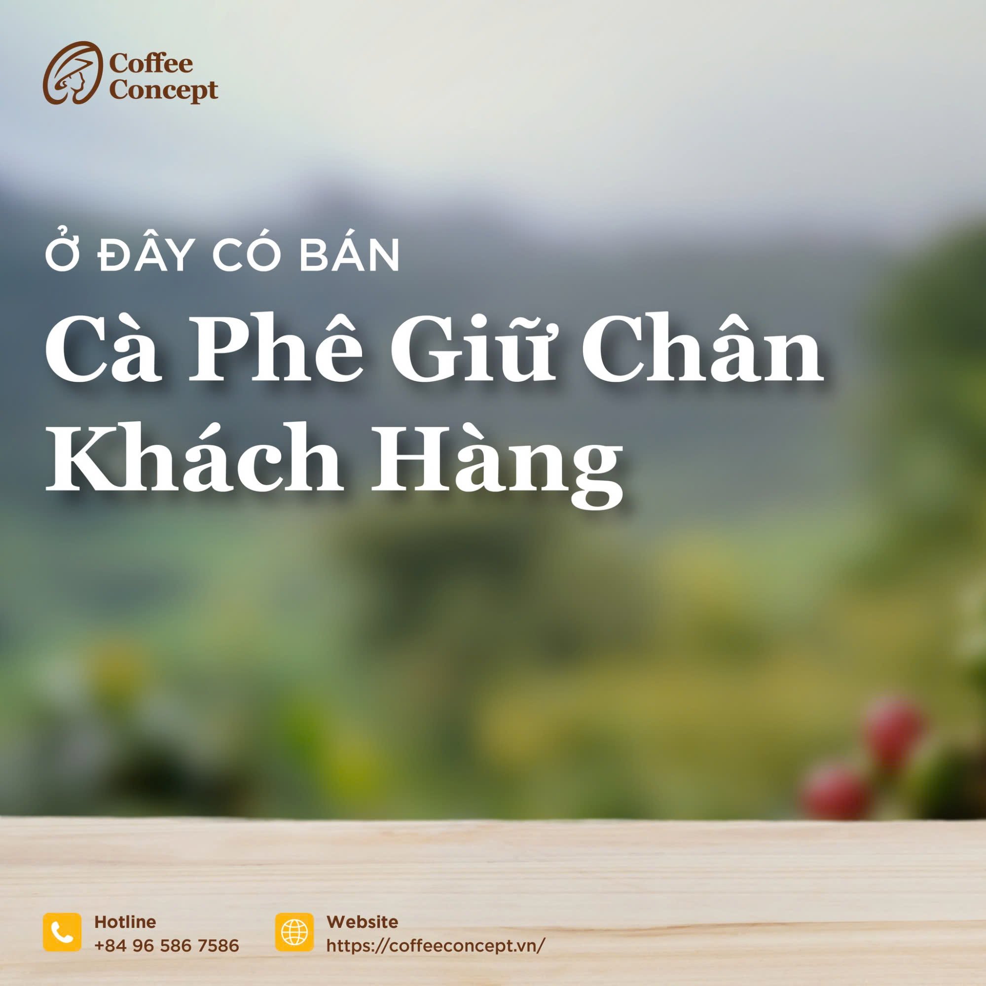 Lời khuyên cho quán cà phê mới bắt đầu kinh doanh