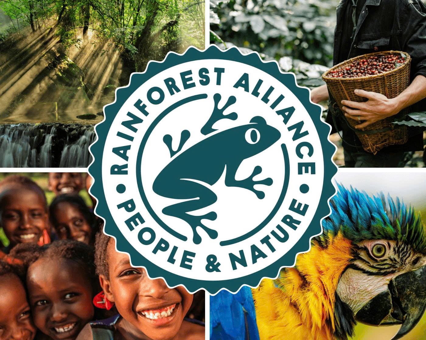 Rainforest Alliance – Chứng nhận cà phê bền vững toàn diện