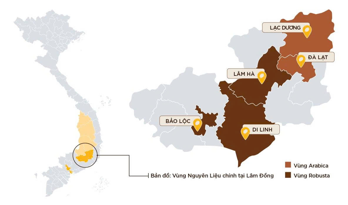 Nhà cung cấp cà phê đạt chứng nhận quốc tế