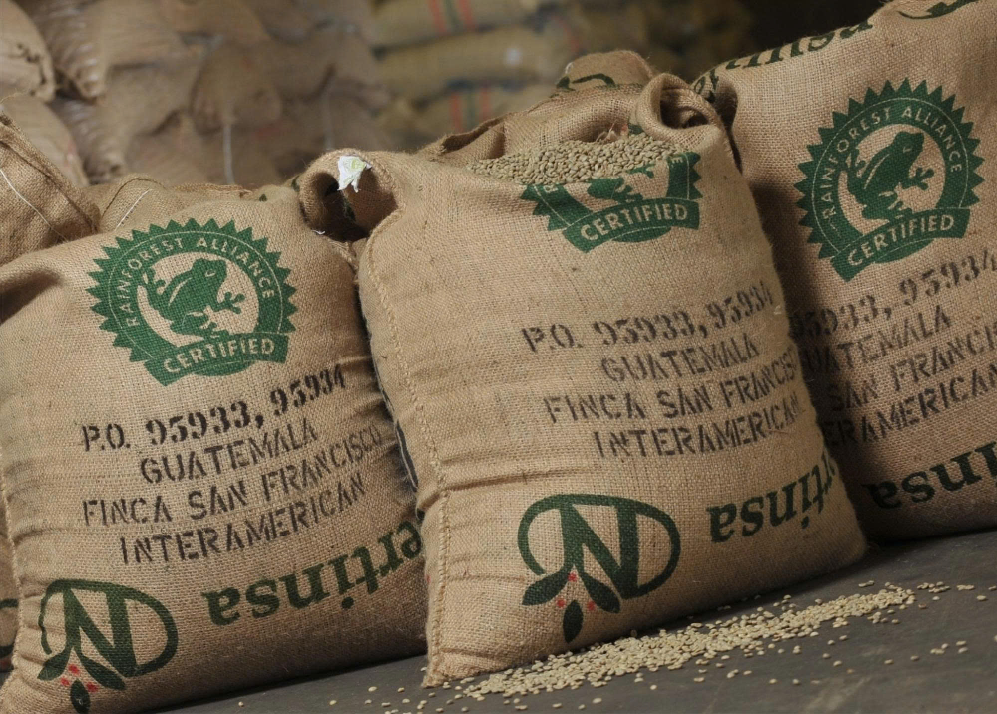 Rainforest Alliance – Chứng nhận cà phê bền vững toàn diện