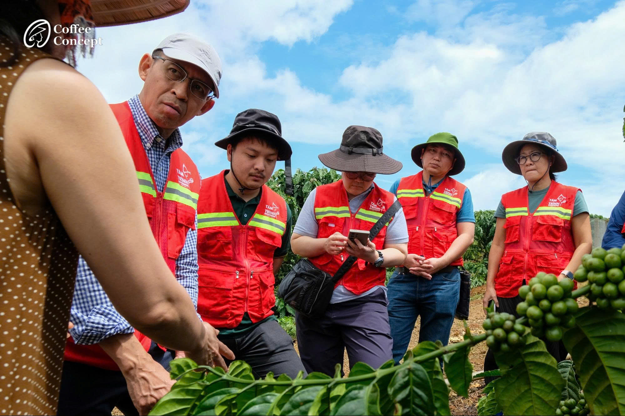 Coffee Concept tham gia hành trình và xây dựng quy trình sản xuất cà phê chất lượng cao từ 2014