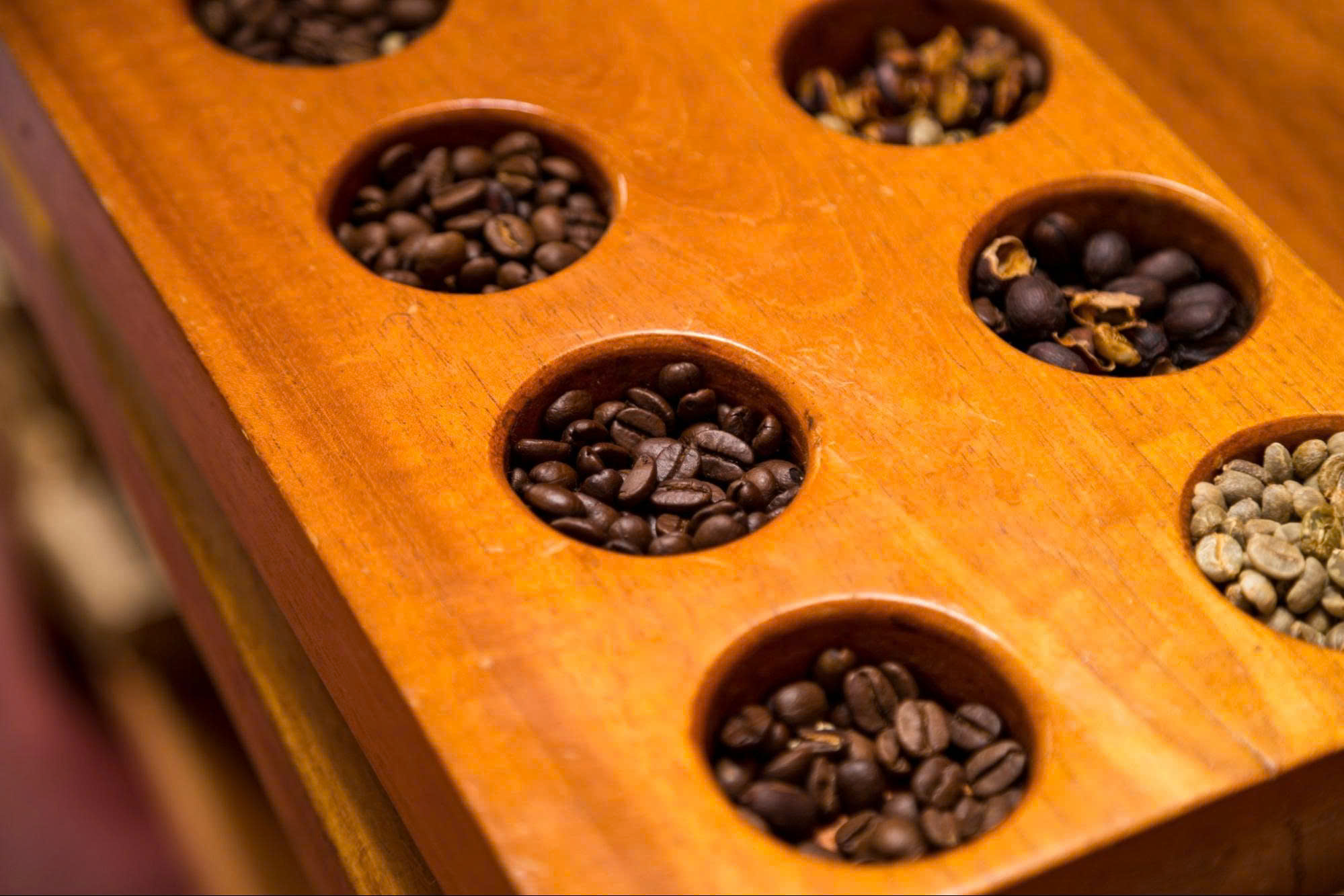 Fine Robusta Là Gì? Khám Phá Dòng Cà Phê Robusta Chất Lượng Cao