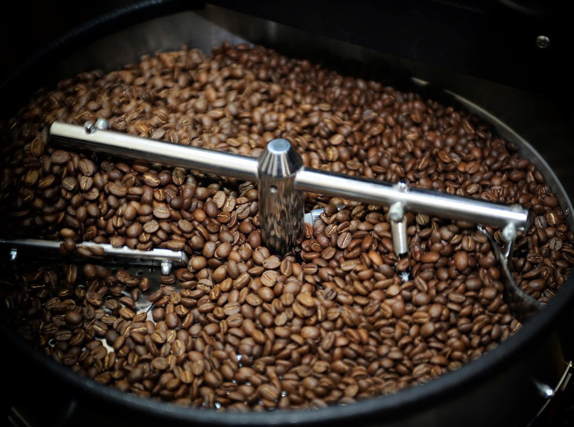 Fine Robusta Là Gì? Khám Phá Dòng Cà Phê Robusta Chất Lượng Cao