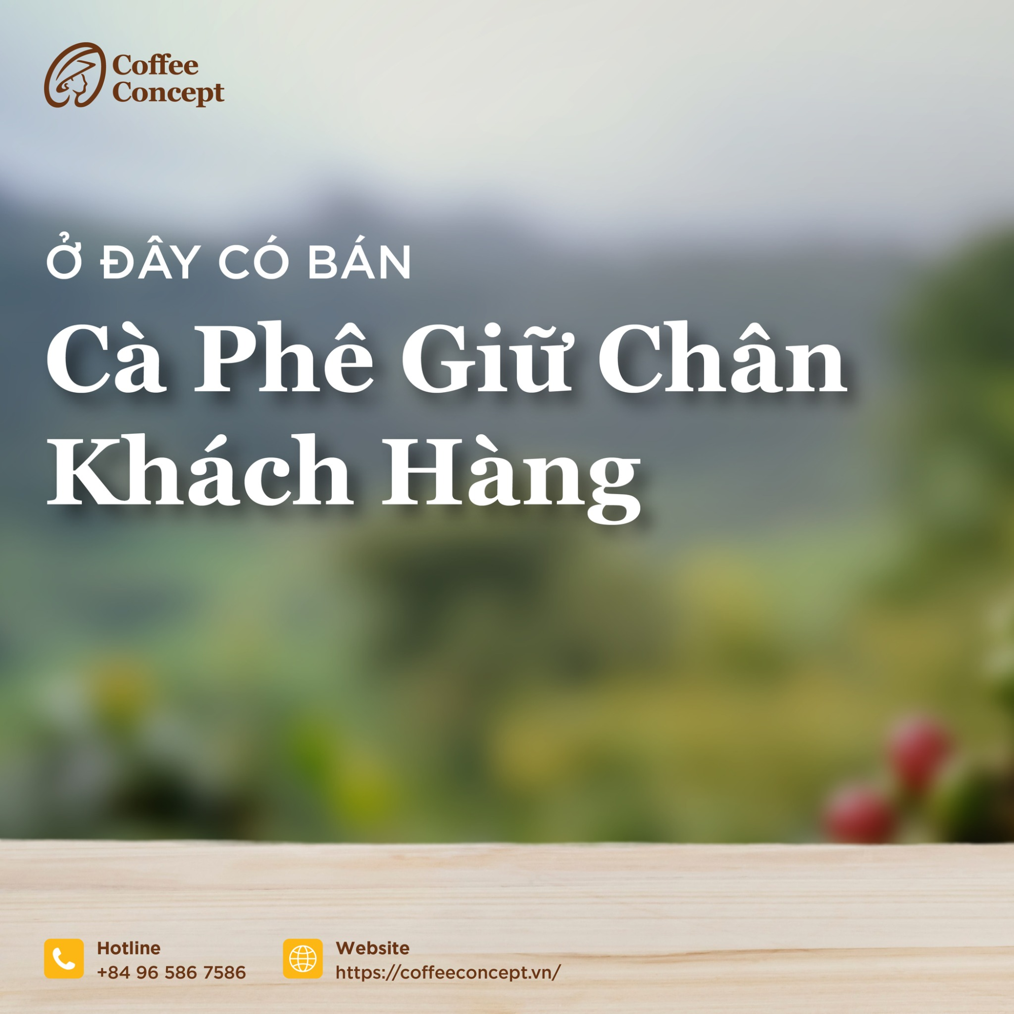 Cà phê rang xay chất lượng - yếu tố quyết định cho tách cà phê hoàn hảo