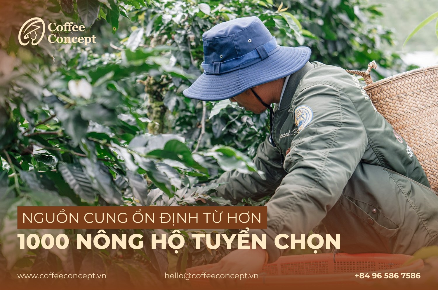 Chọn cà phê từ vùng trồng nổi tiếng