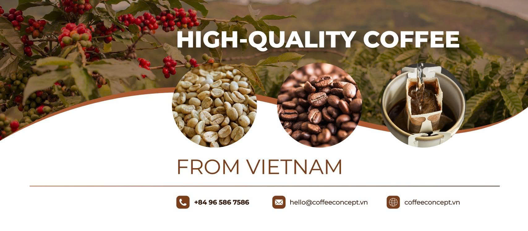 Nguồn cung cấp cà phê Arabica từ các vùng nổi tiếng