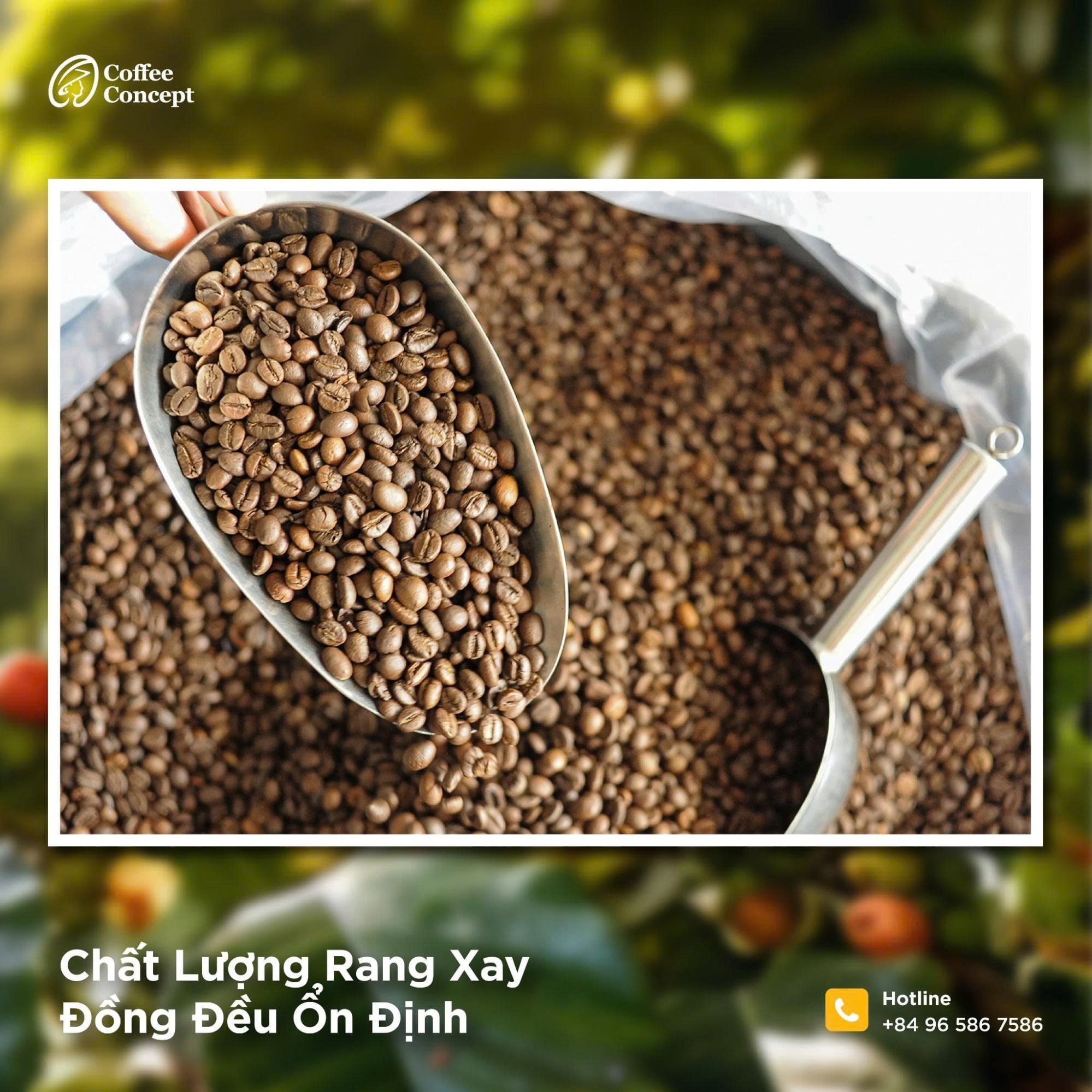 Lợi ích của rang cà phê theo yêu cầu cho quán