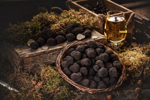 Black truffle mushrooms - The culinary world's finest ingredient