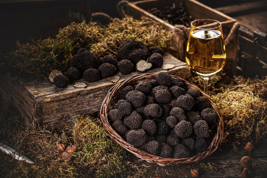 Nấm truffle đen – Loại nguyên liệu hảo hạng của giới ẩm thực