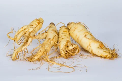 CÁCH SỬ DỤNG NHÂN SÂM CANADA HIỆU QUẢ NHẤT