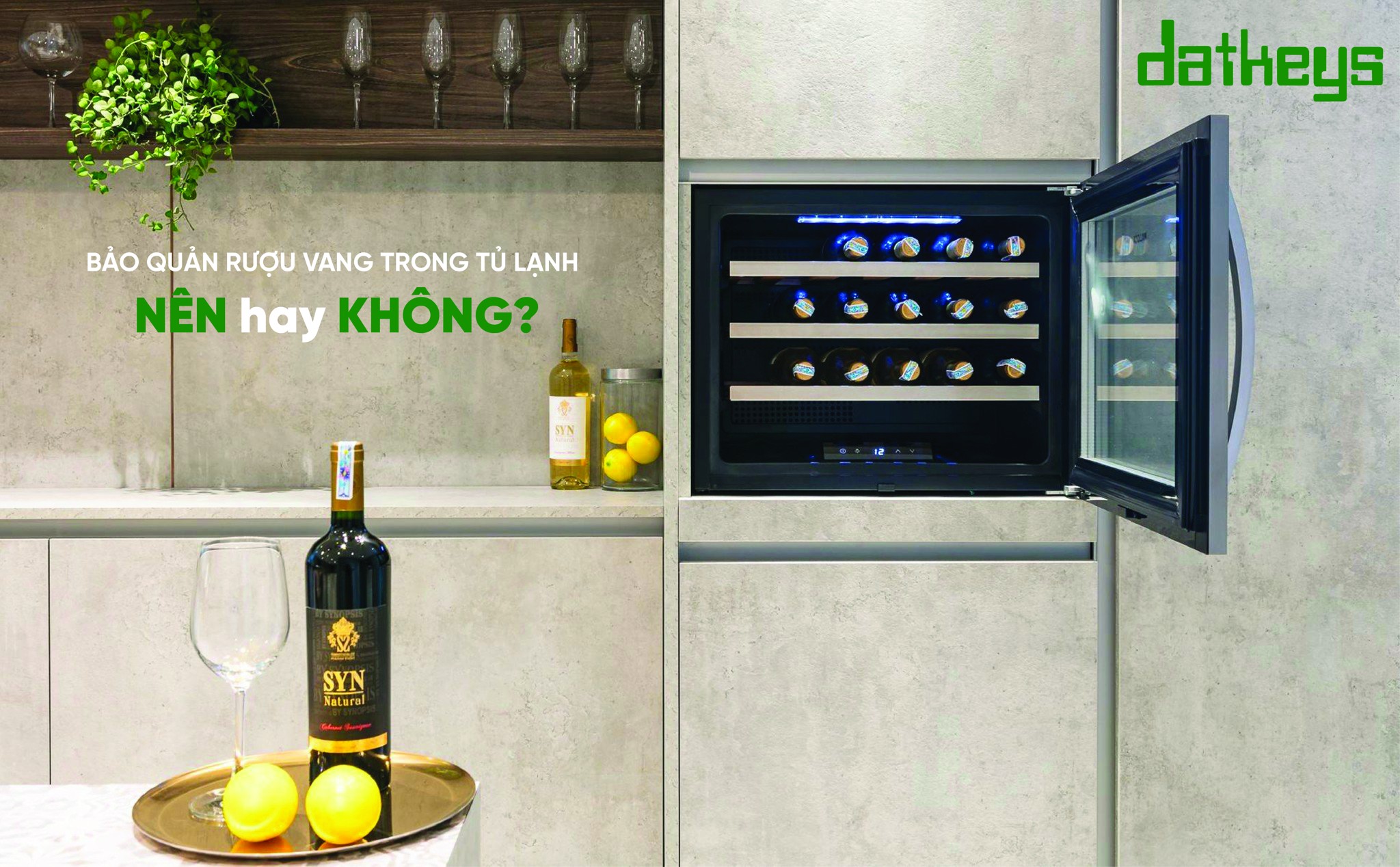 BẢO QUẢN RƯỢU VANG TRONG TỦ LẠNH NÊN HAY KHÔNG?