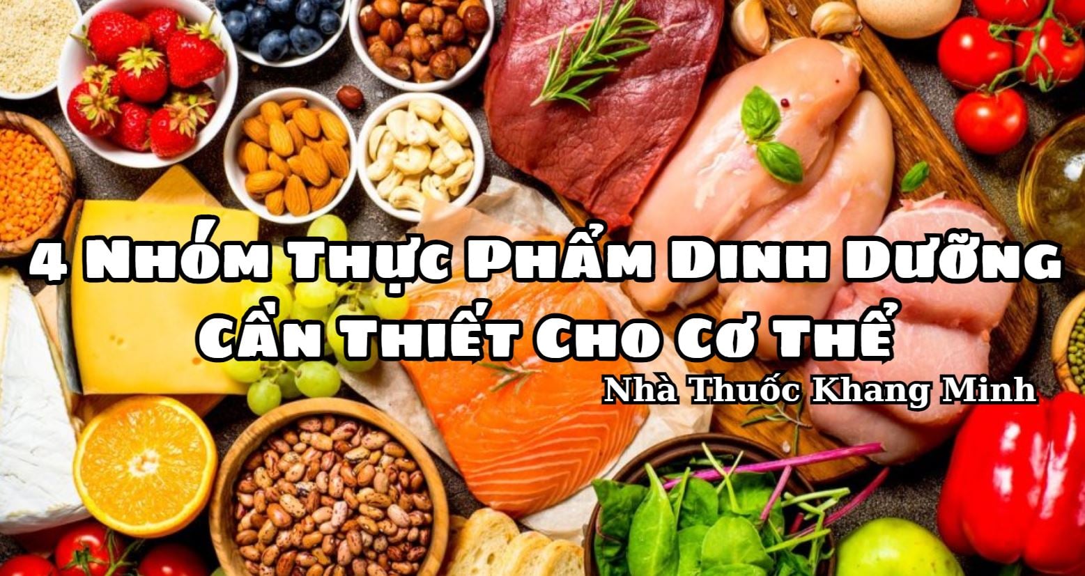 Bốn Nhóm Thực Phẩm Dinh Dưỡng Cần Thiết Cho Cơ Thể Bạn Nên Biết