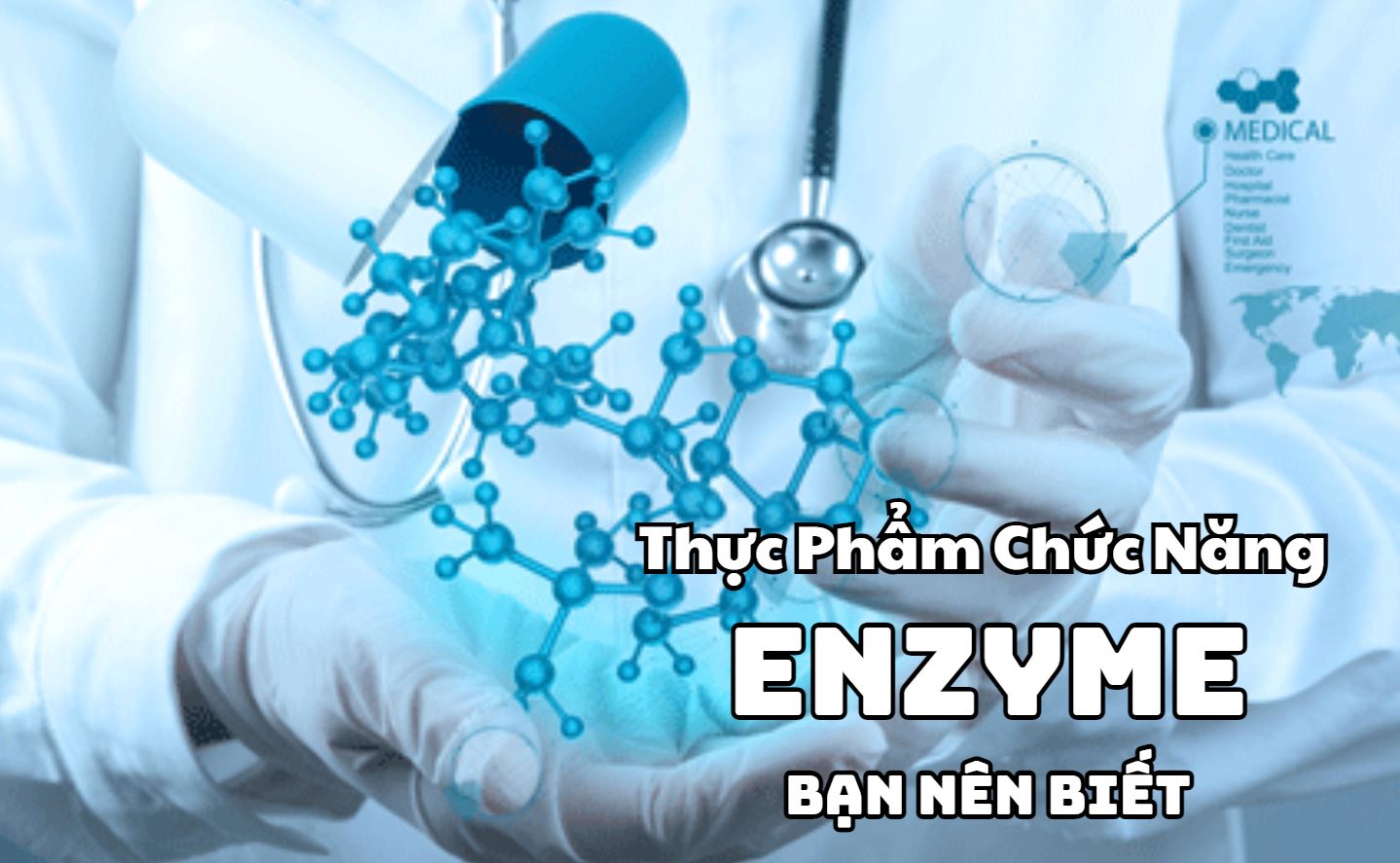 Các Loại Thực Phẩm Chức Năng Enzyme Hiệu Quả Bạn Nên Biết