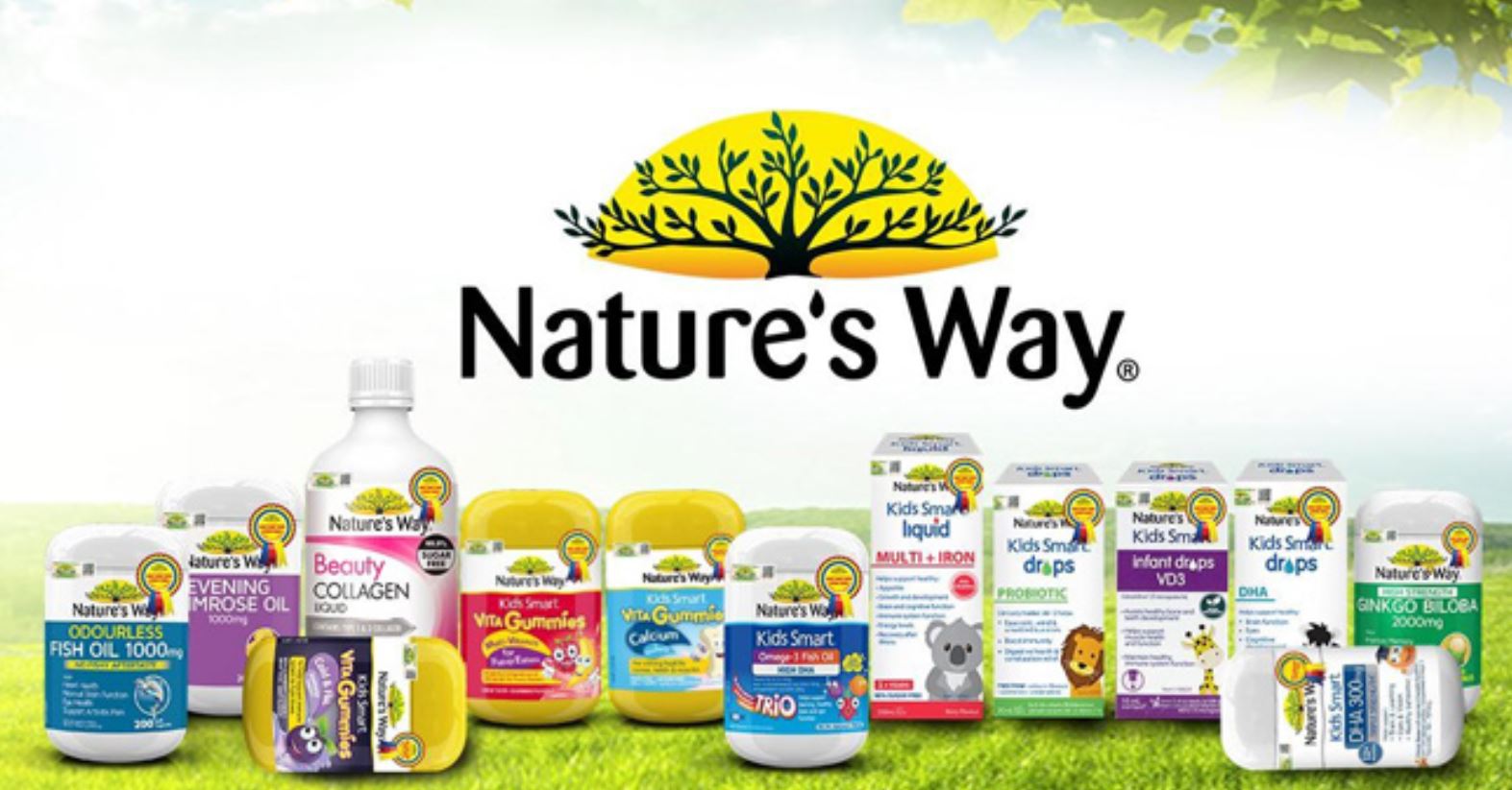 Những Điều Bạn Cần Biết Về Thực Phẩm Chức Năng Nature’s Way