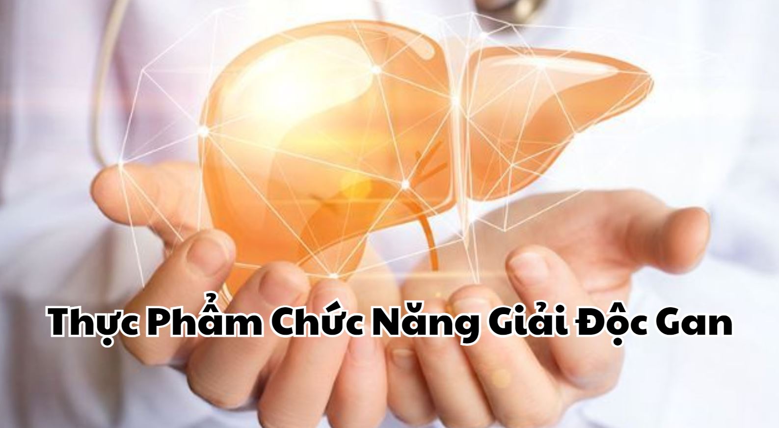Thực Phẩm Chức Năng Giải Độc Gan Hiệu Quả Bạn Nên Biết
