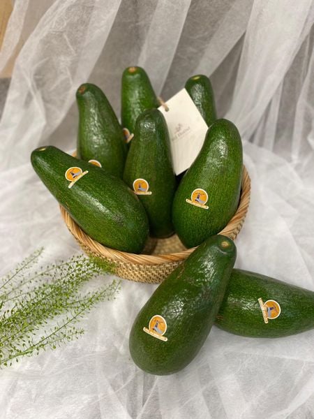 Hình ảnh bài viết