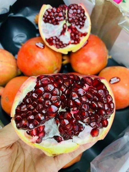Hình ảnh bài viết