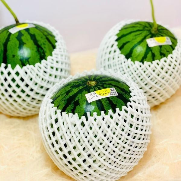 Hình ảnh bài viết