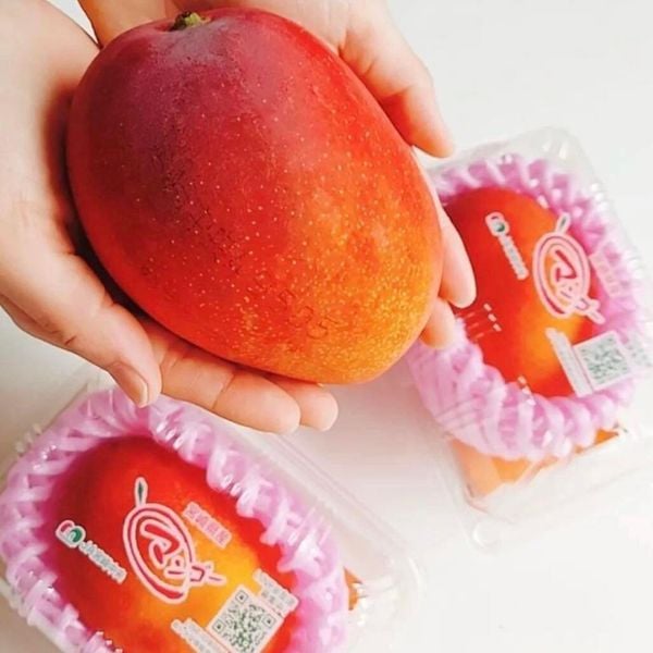 Hình ảnh bài viết