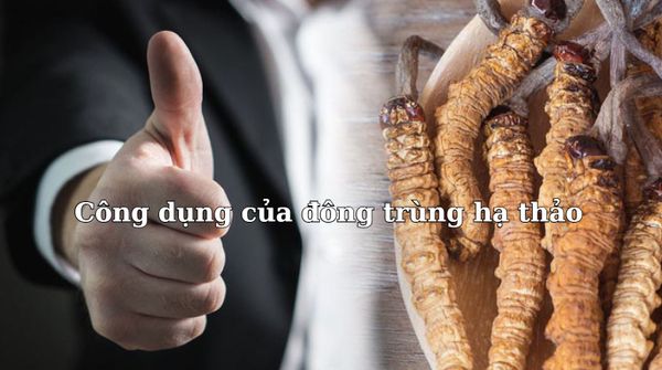 Hình ảnh bài viết