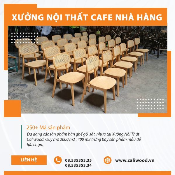 Hình ảnh bài viết