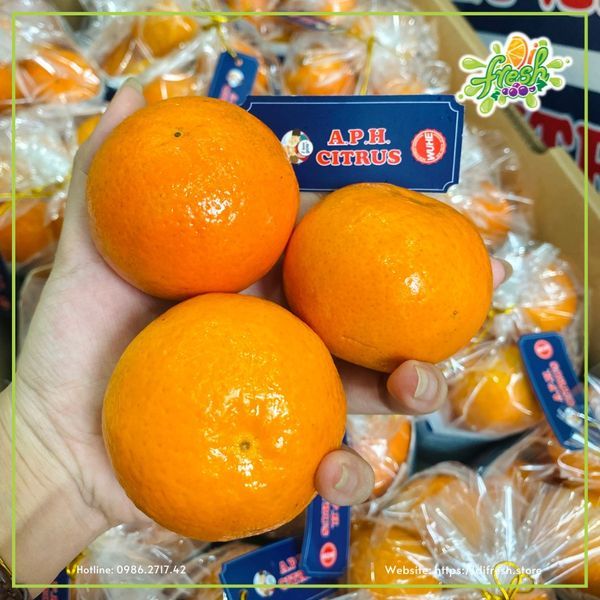 Hình ảnh bài viết