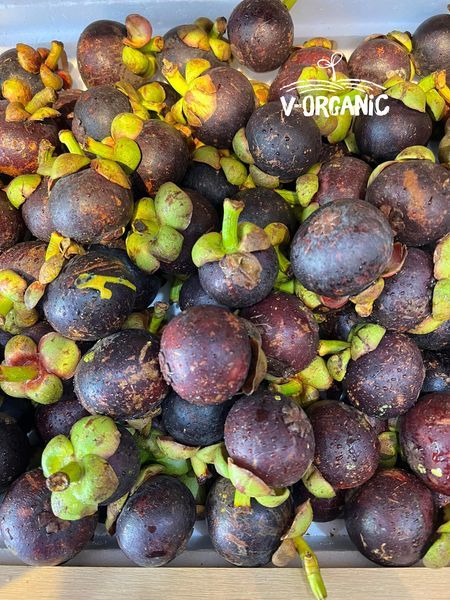 Hình ảnh bài viết