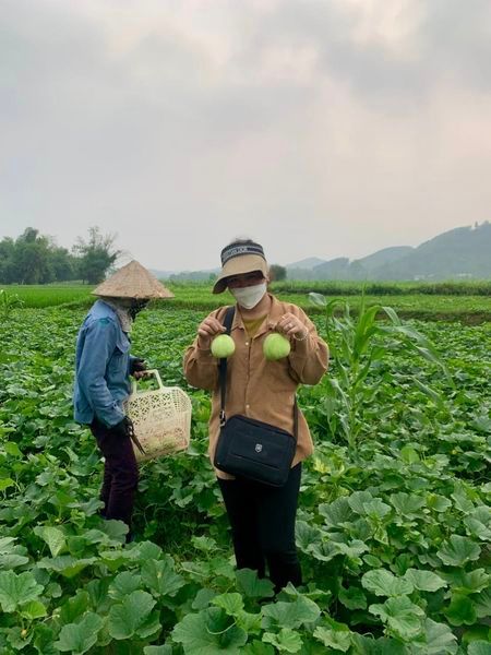 Hình ảnh bài viết
