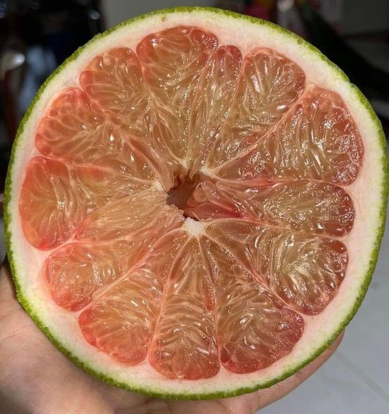 Hình ảnh bài viết