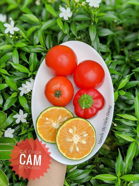 Hình ảnh bài viết