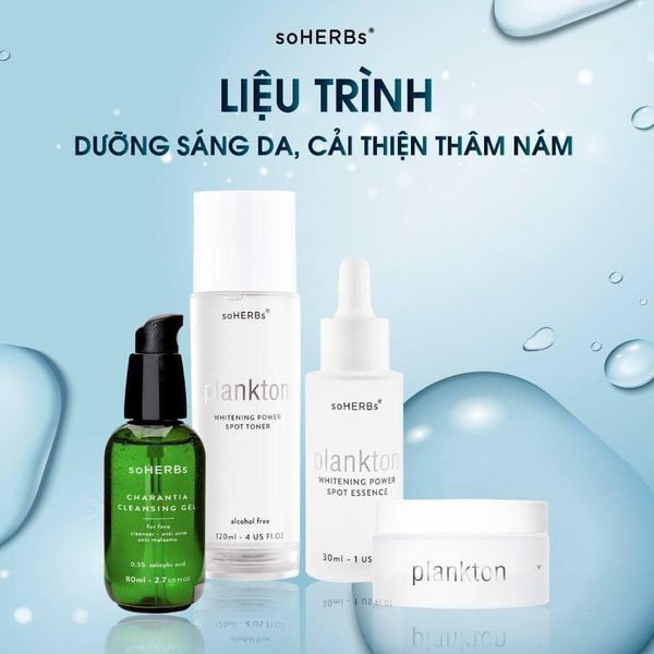 Hình ảnh bài viết