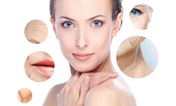 Thực phẩm chức năng Evening primrose oil chống lão hóa, đẩy lùi dấu hiệu lão hóa, tái tạo cấu trúc tế bào dưới da và giữ vẻ thanh xuân