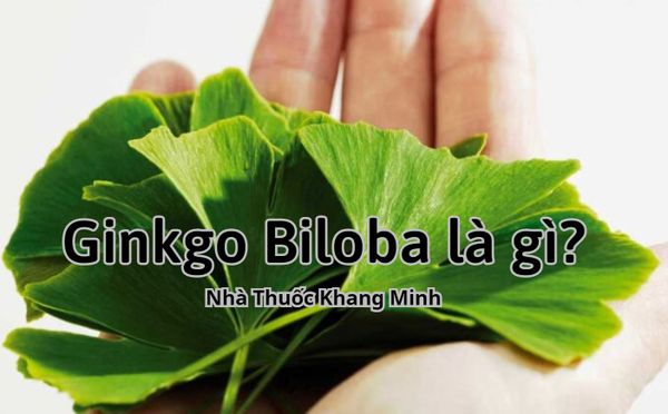 Ginkgo Biloba là gì?