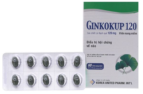 Ginkoup 120mg hộp 60 viên