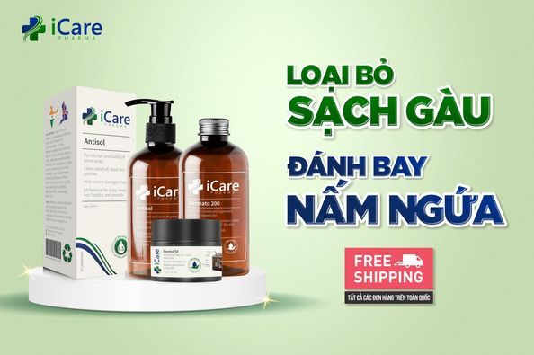 Hình ảnh bài viết