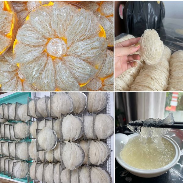 Mẫu content bán yến sào – Yến Sào Nguyên Chất