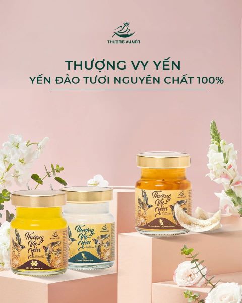 Mẫu content bán yến sào – Yến chưng tươi