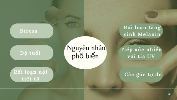 Hình ảnh bài viết