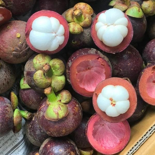 Hình ảnh bài viết