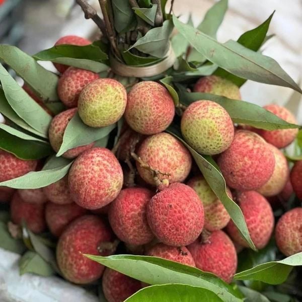 Hình ảnh bài viết