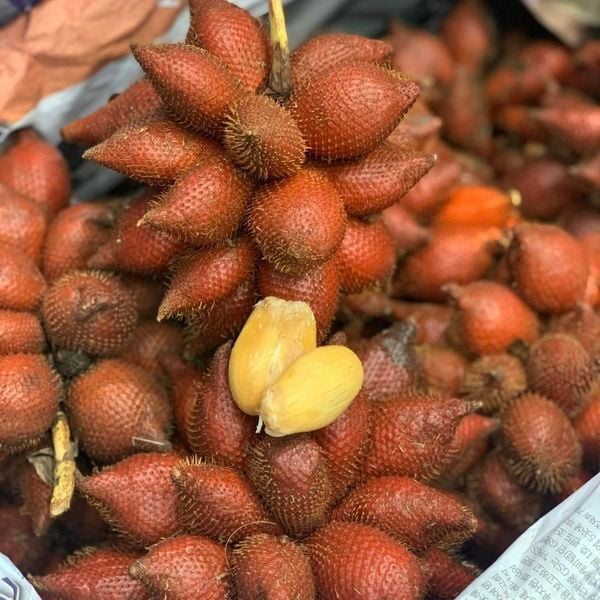 Hình ảnh bài viết