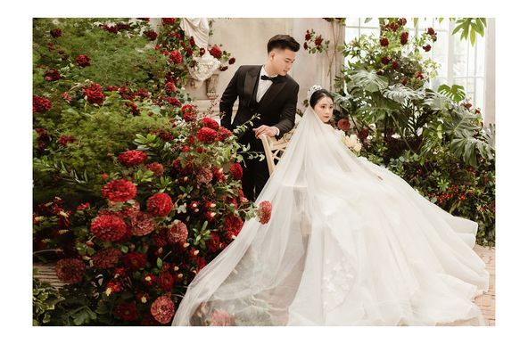Hình ảnh bài viết