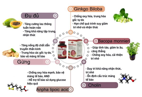 Thành phần viên uống bổ não Alpha Brain