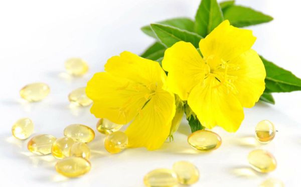 Thực phẩm chức năng Evening primrose oil là gì?