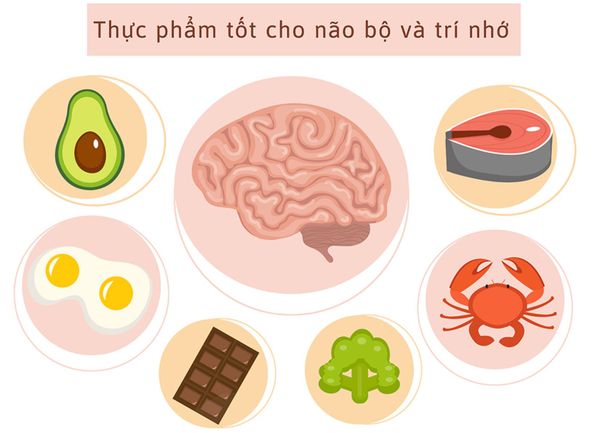 Thực phẩm tốt cho não bộ và tăng cường trí nhớ