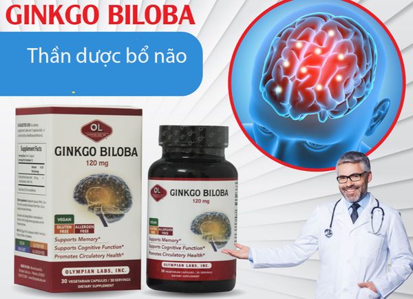 Viên Bổ Não Ginkgo Biloba