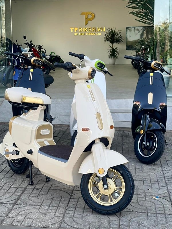 TOP cửa hàng bán xe điện chính hãng uy tín hàng đầu tại Gia Lai