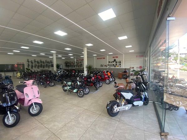 TP Biker chia sẻ kinh nghiệm kinh doanh bán sỉ xe máy điện 2025