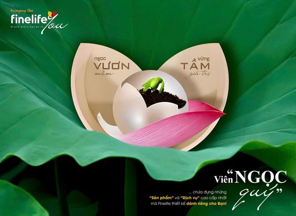 NĂM 2025 - FINELIFE VƯƠN MÌNH VỚI DIỆN MẠO MỚI